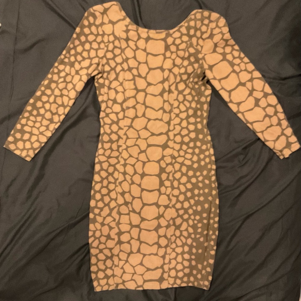 Aritzia Longsleeve Dress